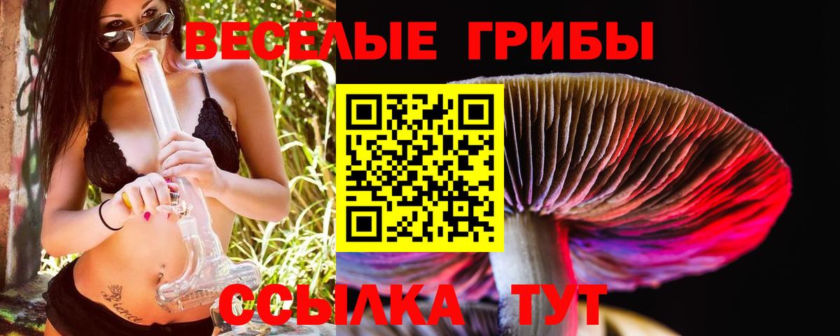Псилоцибиновые грибы Psilocybe Норильск